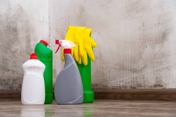 Why You Should Choose Our Mold Remediation Services in Fairhope, AL